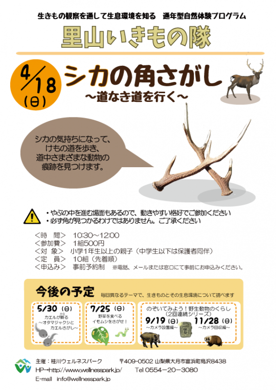 4/18（日）シカの角さがし～道なき道を行く～：里山いきもの隊 | 桂川 